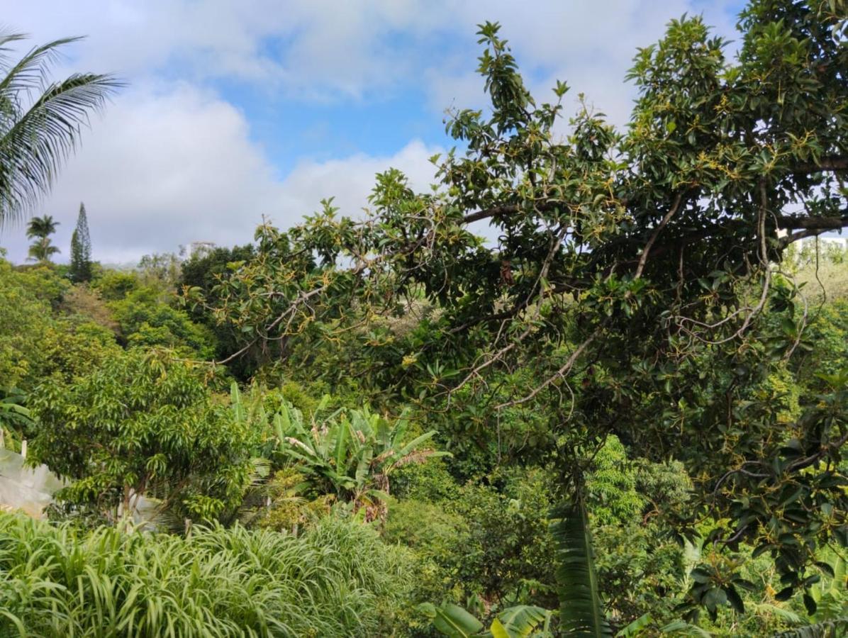 Apartamento Cercado Por Natureza E Diversao Масейо Экстерьер фото